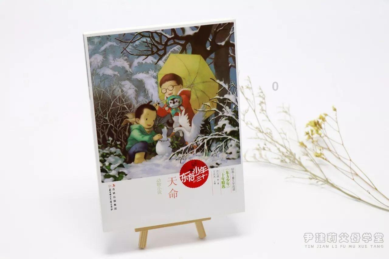 贾玲闷声赚大钱:可贵了得使劲用!杨紫带贾玲张小斐跳热辣姐妹舞